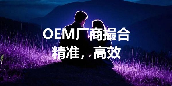 麦顿润滑油闫若飞：3个品牌3种模式做市场